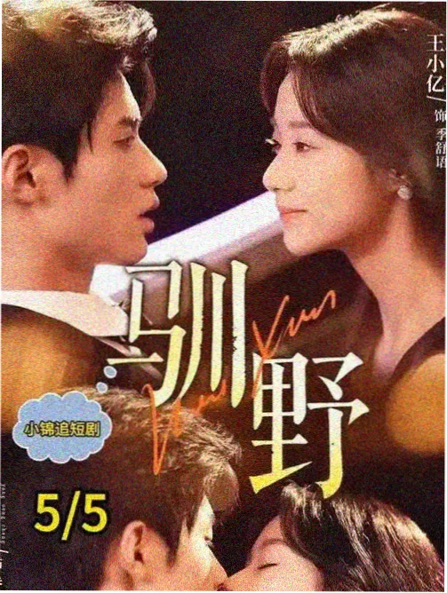 雾港迷局全集免费观看高清电视剧